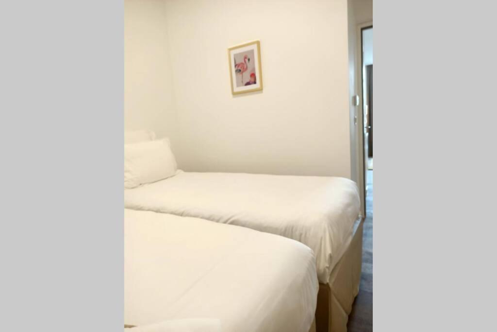 Appartement Montpellier Comedie Gare St Roch Zewnętrze zdjęcie
